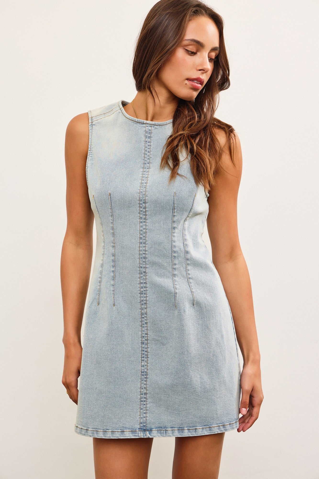 Fitted Sleeveless Denim Dress