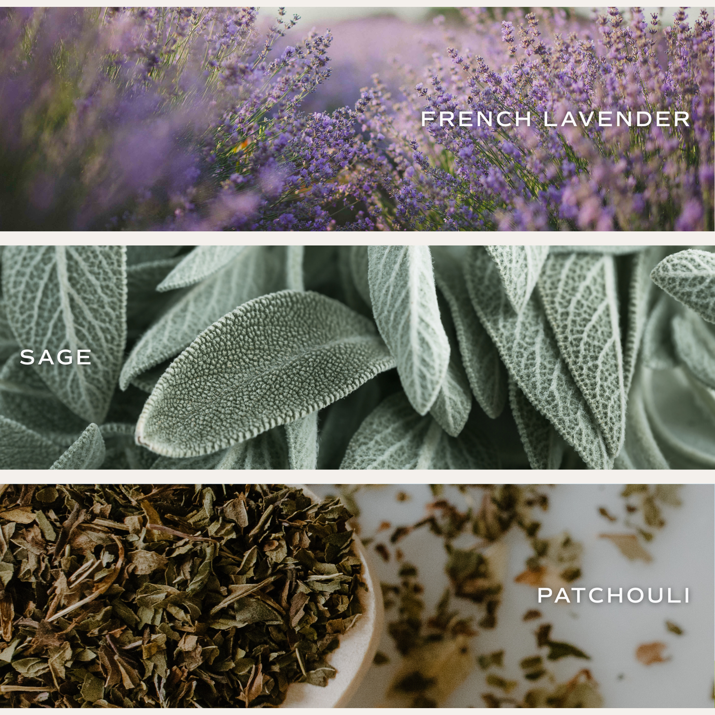 Lavender and Sage 11 oz Soy Candle: Home Decor & Gifts